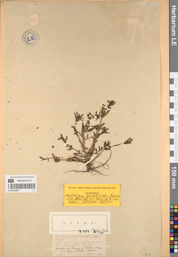 LE 01053825