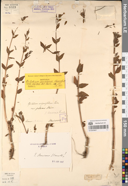 LE 01053827
