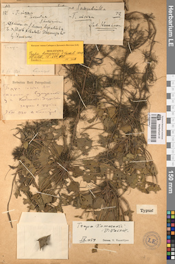 LE 01053844