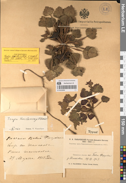 LE 01053846