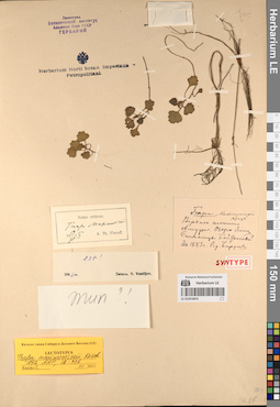 LE 01053853