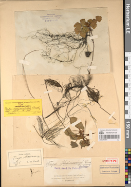LE 01053856