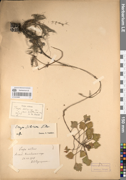 LE 01053869
