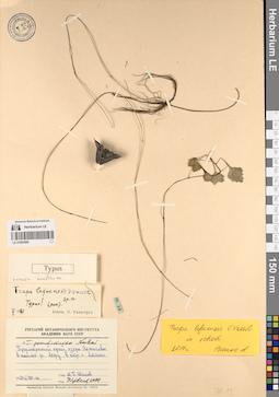 LE 01083999