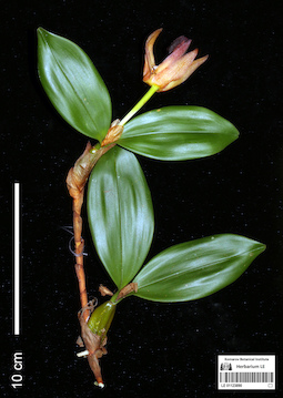 LE 01123890