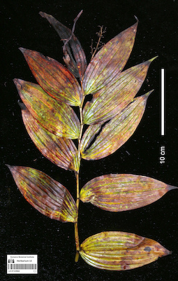 LE 01123922