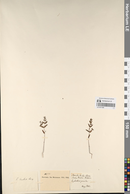 LE 01071285