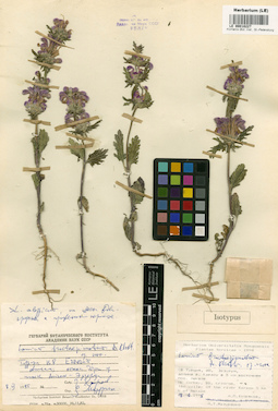 LE 00018227