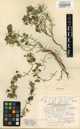 LE 00018226