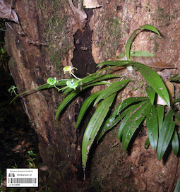 LE 01124000
