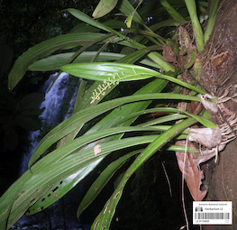 LE 01124025