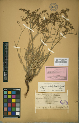 LE 01044007