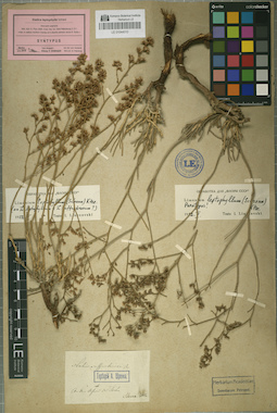 LE 01044010