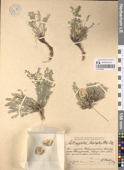 LE 01195789