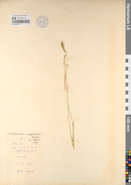 LE 01070312