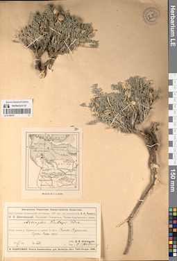LE 01195791