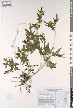 LE 01193491