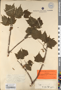 LE 01057318