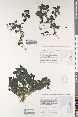 LE 01193503