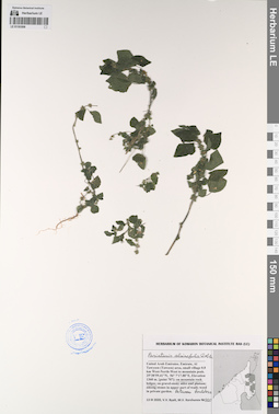 LE 01193508