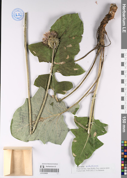 LE 01224829