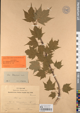 LE 01057340
