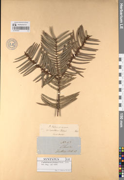 LE 01070321