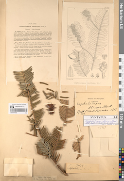 LE 01070322