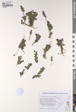 LE 01193526