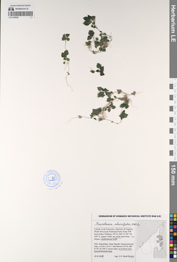 LE 01193530