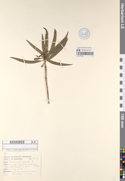 LE 01070336
