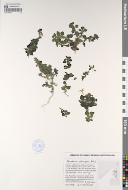 LE 01193535