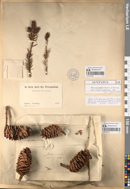 LE 01070347