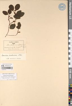 LE 01071773