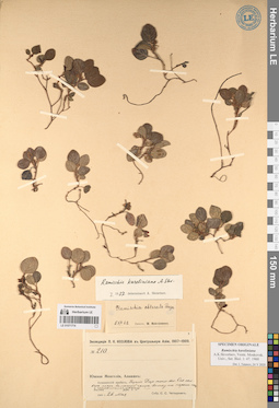 LE 01071774