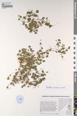 LE 01193568