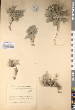LE 01224905