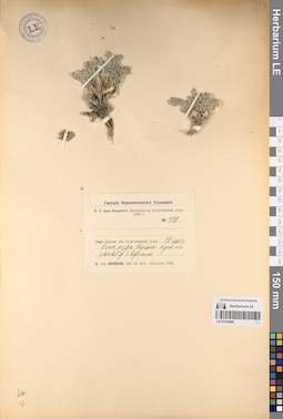 LE 01224906