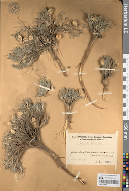 LE 01224907