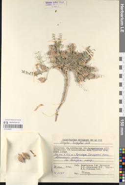 LE 01224910