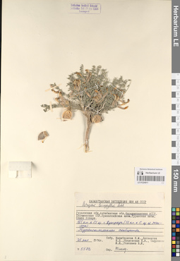 LE 01224911