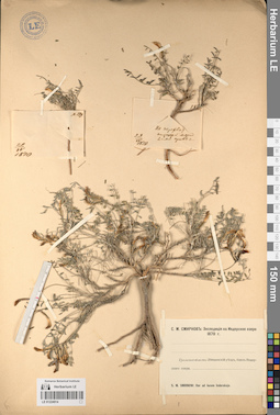 LE 01224914