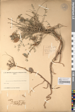 LE 01224918
