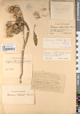 LE 01195916