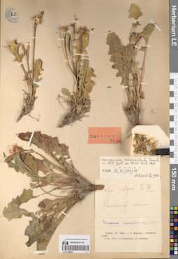 LE 01195921