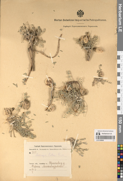LE 01195939