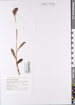 LE 01229436