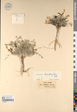 LE 01195940