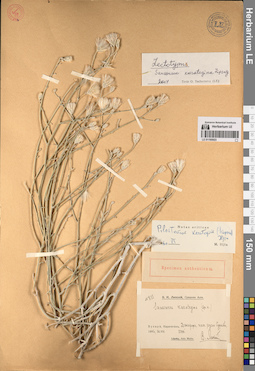 LE 01195923