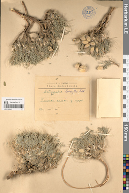 LE 01195941